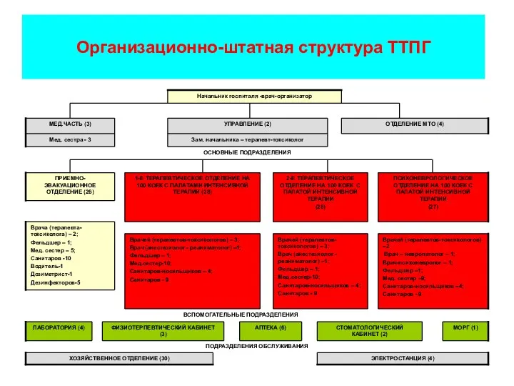 Организационно-штатная структура ТТПГ