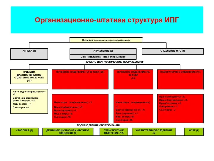 Организационно-штатная структура ИПГ