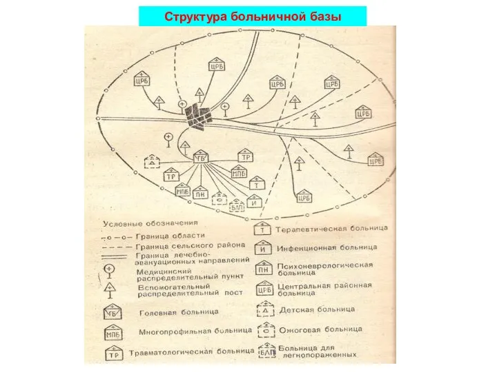 Структура больничной базы