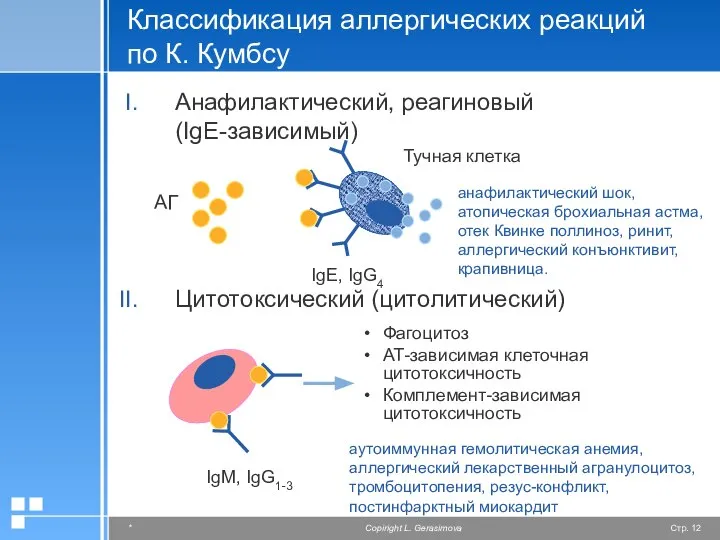 Классификация аллергических реакций по К. Кумбсу Анафилактический, реагиновый (IgE-зависимый) Цитотоксический (цитолитический)