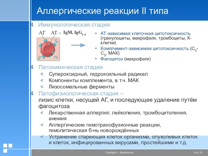 Аллергические реакции II типа Иммунологическая стадия Патохимическая стадия Супероксидный, гидроксильный радикал