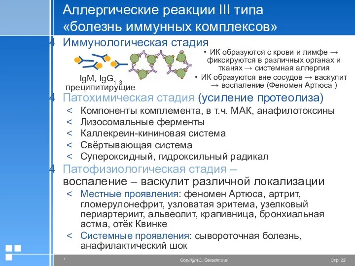 Аллергические реакции III типа «болезнь иммунных комплексов» Иммунологическая стадия Патохимическая стадия