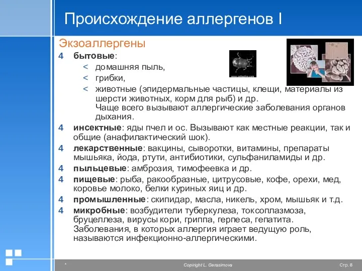 Происхождение аллергенов I Экзоаллергены бытовые: домашняя пыль, грибки, животные (эпидермальные частицы,