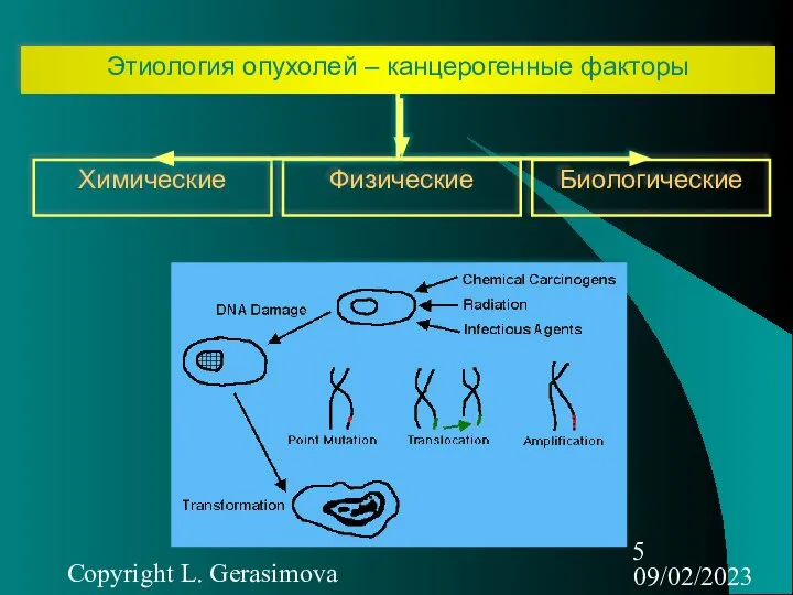 09/02/2023 Copyright L. Gerasimova Химические Биологические Физические Этиология опухолей – канцерогенные факторы