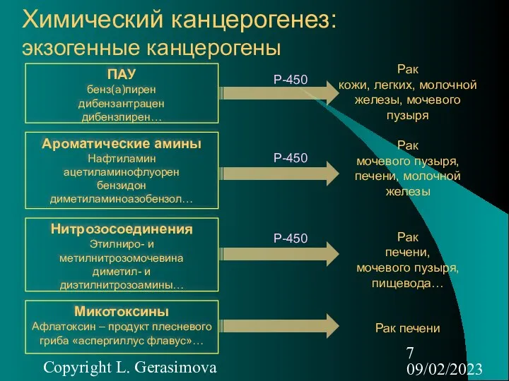 09/02/2023 Copyright L. Gerasimova Химический канцерогенез: экзогенные канцерогены ПАУ бенз(а)пирен дибензантрацен