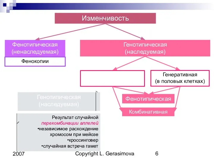 Copyright L. Gerasimova 2007 Изменчивость Генотипическая (наследуемая) Изменчивость Генеративная (в половых