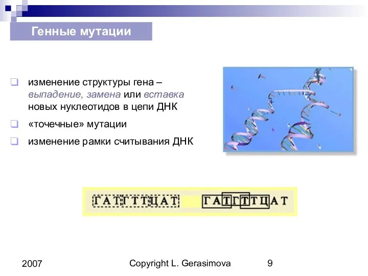 Copyright L. Gerasimova 2007 Генные мутации изменение структуры гена – выпадение,