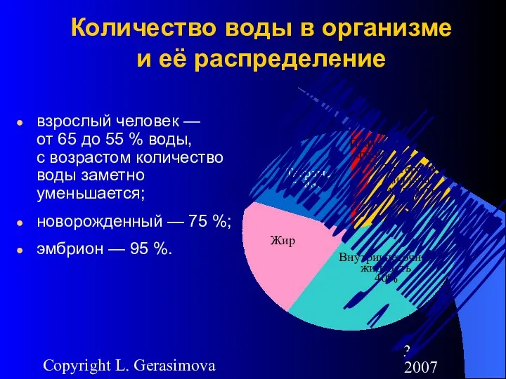 2007 Copyright L. Gerasimova Количество воды в организме и её распределение