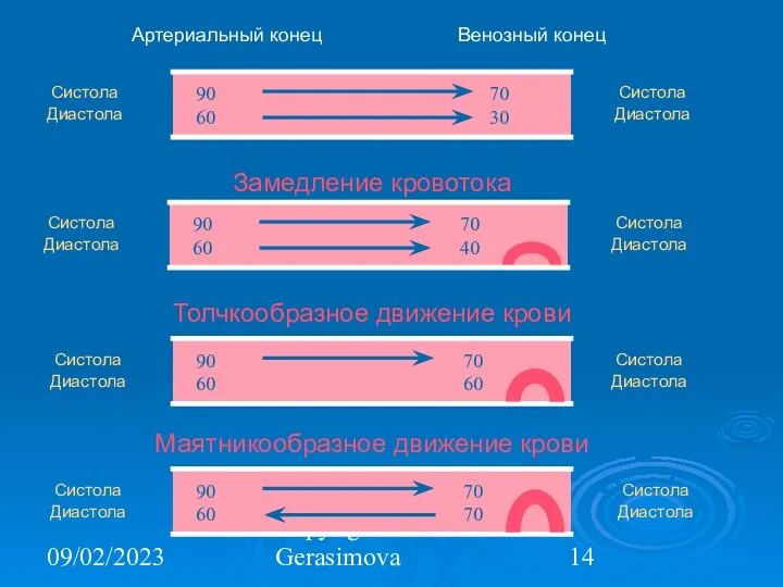 09/02/2023 Copyright L. Gerasimova Артериальный конец Венозный конец Систола Диастола Систола