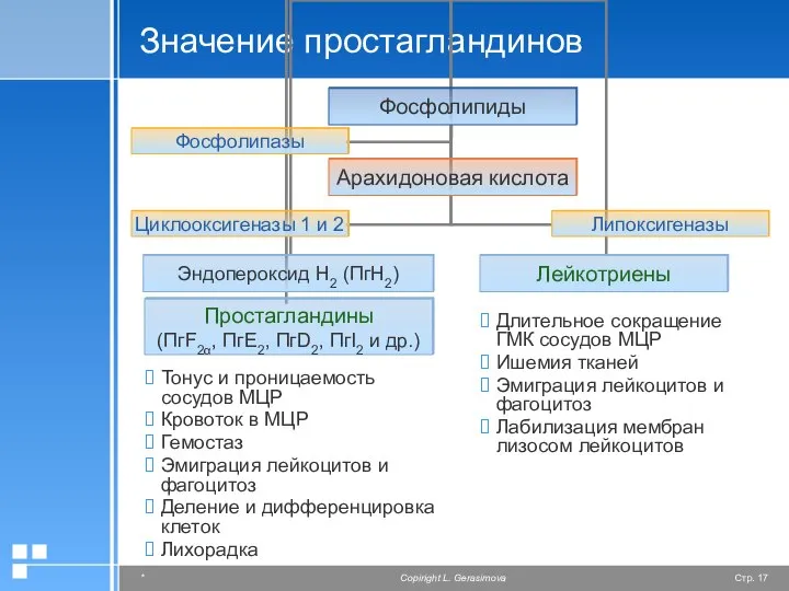 Значение простагландинов Тонус и проницаемость сосудов МЦР Кровоток в МЦР Гемостаз