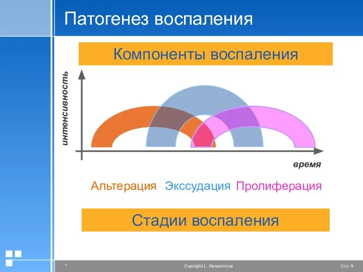 Патогенез воспаления Альтерация Экссудация Пролиферация время интенсивность Компоненты воспаления Стадии воспаления