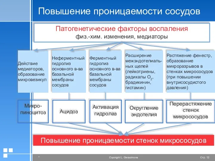 Повышение проницаемости сосудов Ацидоз Активация гидролаз Округление эндотелия Перерастяжение стенок микрососудов