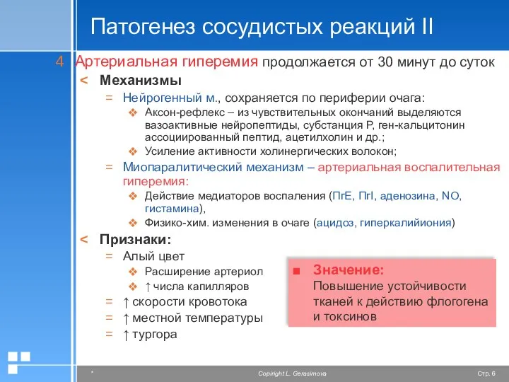 Патогенез сосудистых реакций II Артериальная гиперемия продолжается от 30 минут до