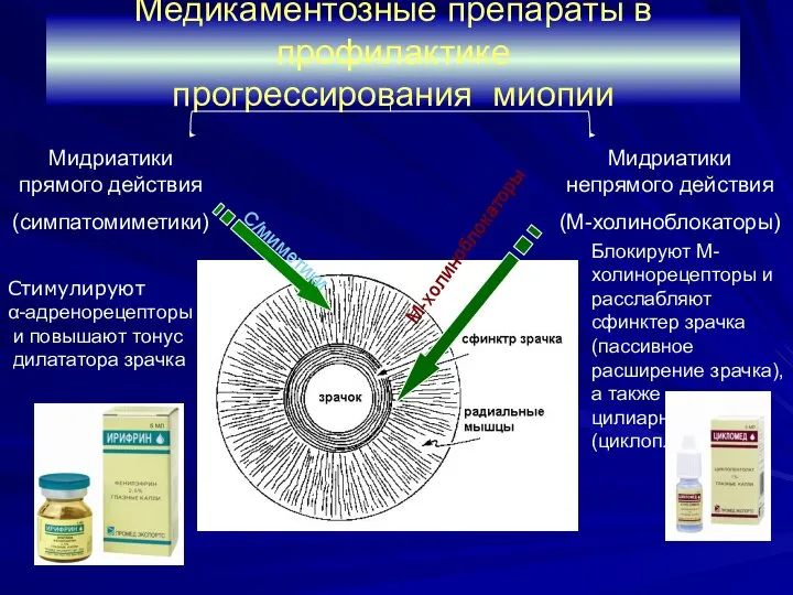 Мидриатики прямого действия (симпатомиметики) Мидриатики непрямого действия (М-холиноблокаторы) Стимулируют α-адренорецепторы и