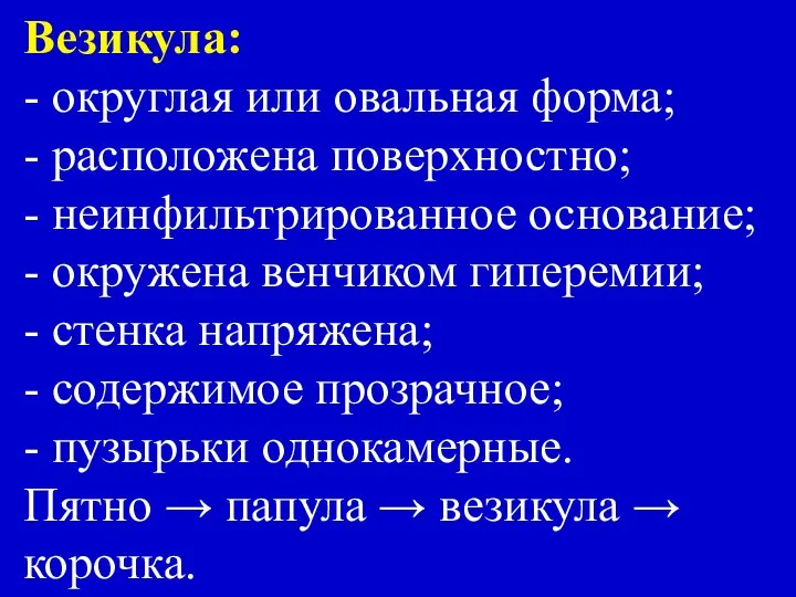 Везикула: - округлая или овальная форма; - расположена поверхностно; - неинфильтрированное