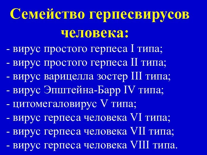 Семейство герпесвирусов человека: - вирус простого герпеса I типа; - вирус