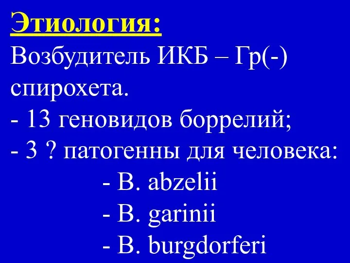 Этиология: Возбудитель ИКБ – Гр(-) спирохета. - 13 геновидов боррелий; -