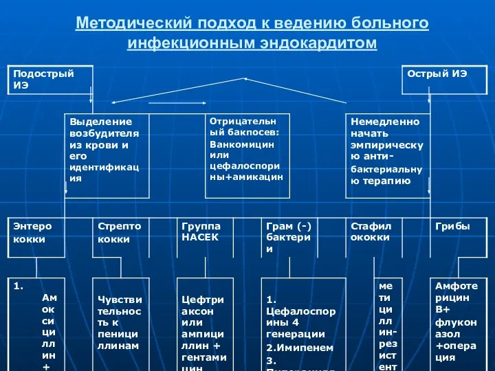 Методический подход к ведению больного инфекционным эндокардитом