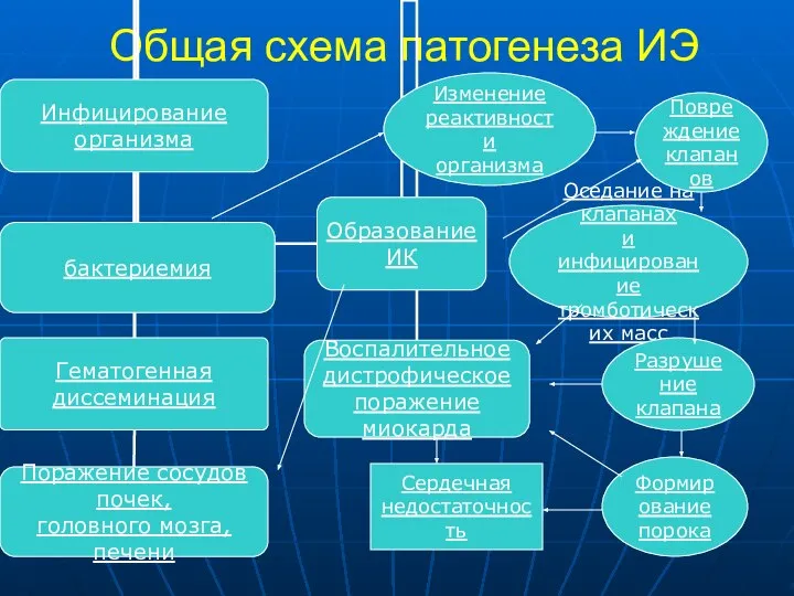 Общая схема патогенеза ИЭ Разрушение клапана Изменение реактивности организма Формирование порока Повреждение клапанов Сердечная недостаточность