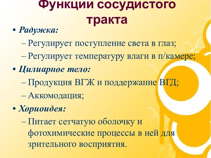 Функции сосудистого тракта Радужка: Регулирует поступление света в глаз; Регулирует температуру