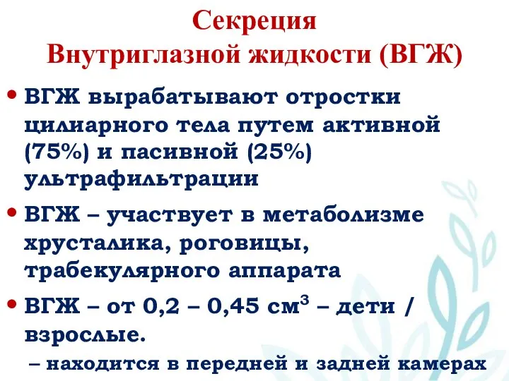 Секреция Внутриглазной жидкости (ВГЖ) ВГЖ вырабатывают отростки цилиарного тела путем активной