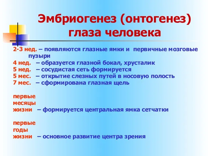 Эмбриогенез (онтогенез) глаза человека 2-3 нед. – появляются глазные ямки и