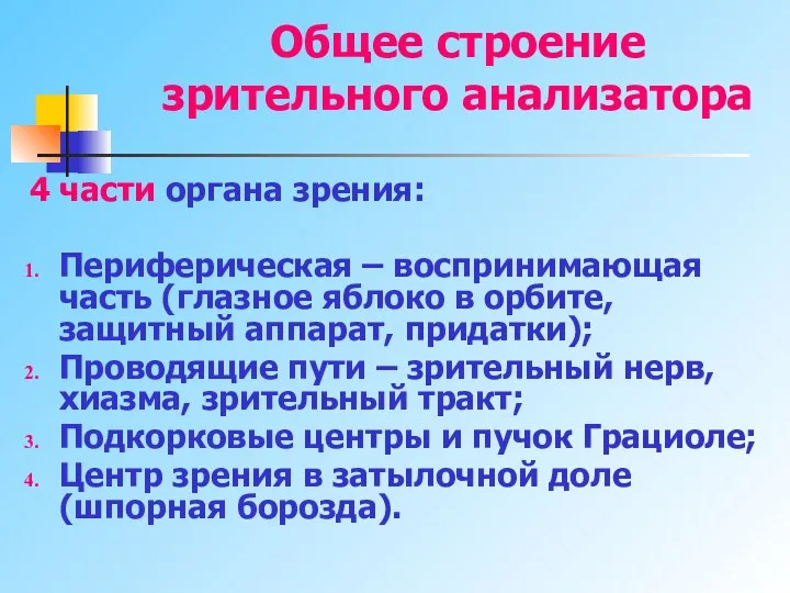 Общее строение зрительного анализатора 4 части органа зрения: Периферическая – воспринимающая