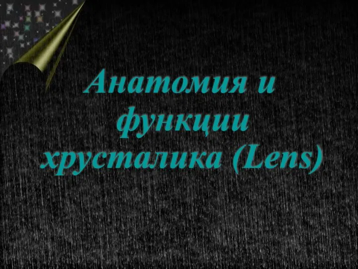 Анатомия и функции хрусталика (Lens)