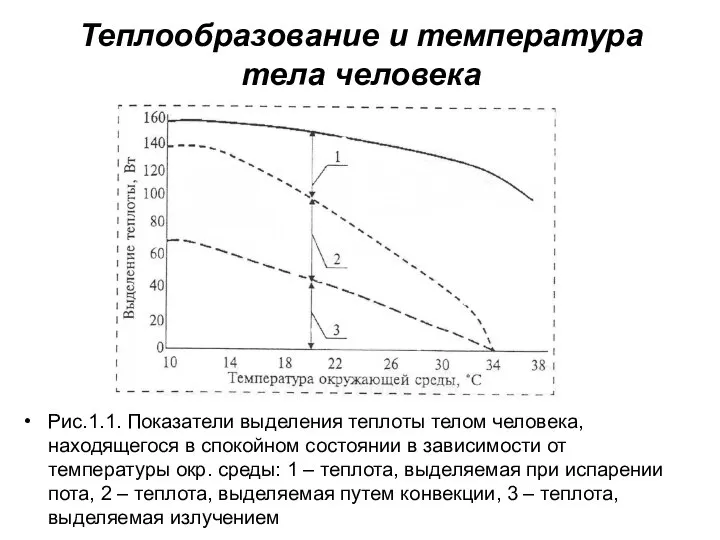 Теплообразование и температура тела человека Рис.1.1. Показатели выделения теплоты телом человека,