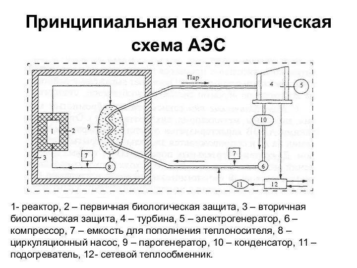 Принципиальная технологическая схема АЭС 1- реактор, 2 – первичная биологическая защита,