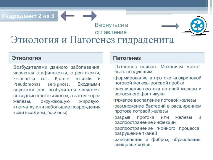 Этиология и Патогенез гидраденита Этиология Патогенез Возбудителями данного заболевания являются стафилококки,