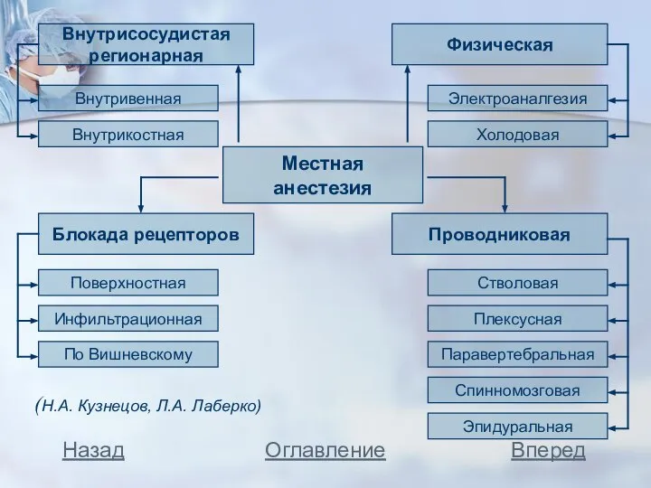 Вперед Назад Оглавление (Н.А. Кузнецов, Л.А. Лаберко)