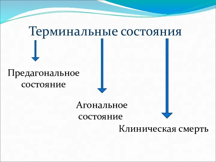 Терминальные состояния Предагональное состояние Агональное состояние Клиническая смерть