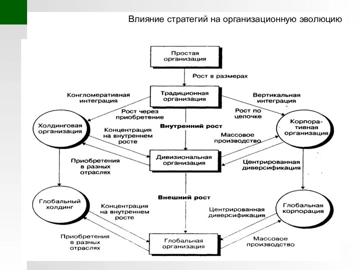 Влияние стратегий на организационную эволюцию