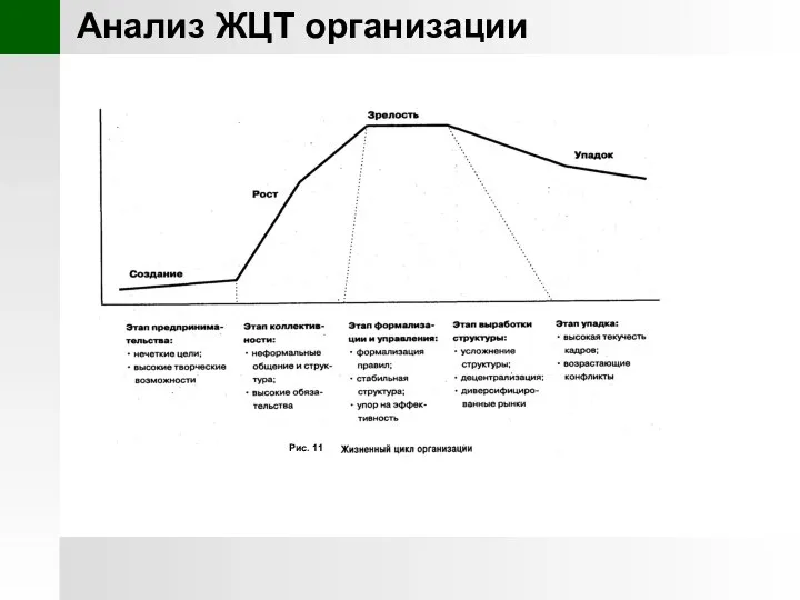 Анализ ЖЦТ организации