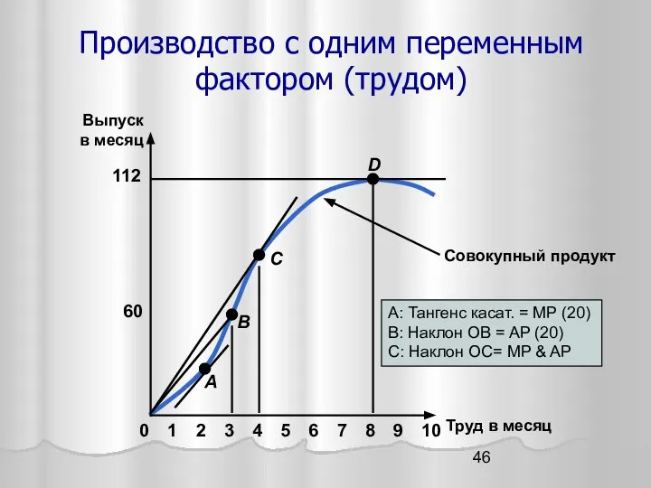 Производство с одним переменным фактором (трудом)