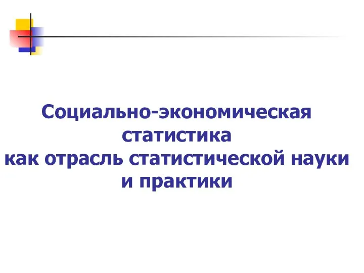 Социально-экономическая статистика как отрасль статистической науки и практики