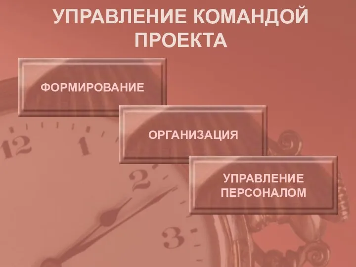 УПРАВЛЕНИЕ КОМАНДОЙ ПРОЕКТА ФОРМИРОВАНИЕ ОРГАНИЗАЦИЯ УПРАВЛЕНИЕ ПЕРСОНАЛОМ