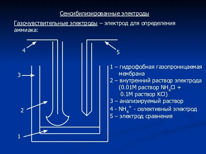 Сенсибилизированные электроды Газочувствительные электроды – электрод для определения аммиака: 1 2