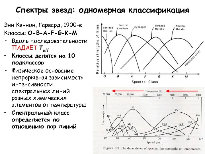 Спектры звезд: одномерная классификация Энн Кэннон, Гарвард, 1900-е Классы: O-B-A-F-G-K-M Вдоль