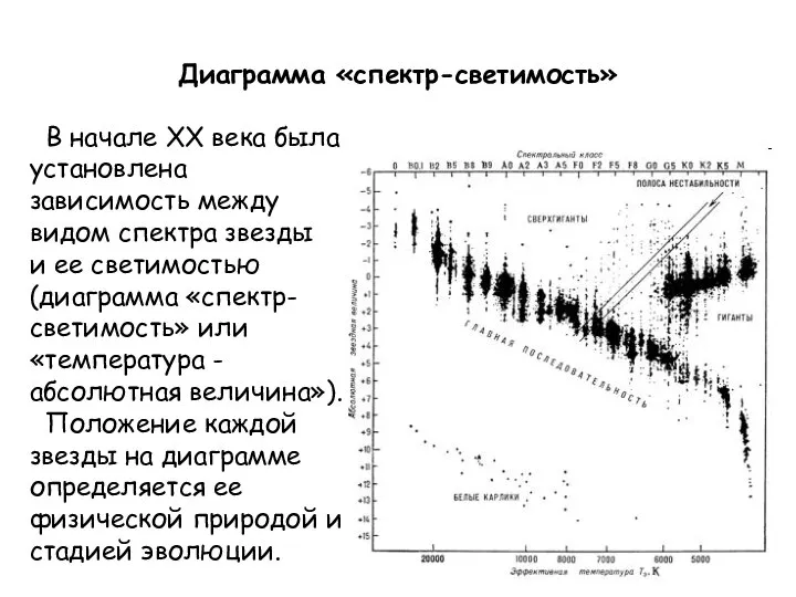 Диаграмма «спектр-светимость» В начале ХХ века была установлена зависимость между видом