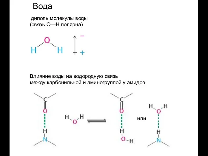 Вода диполь молекулы воды (связь О—Н полярна) Влияние воды на водородную