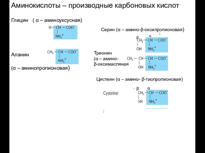 Аминокислоты – производные карбоновых кислот Глицин ( α – аминоуксусная) Аланин