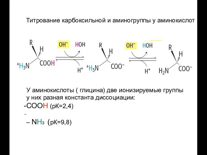 Титрование карбоксильной и аминогруппы у аминокислот У аминокислоты ( глицина) две