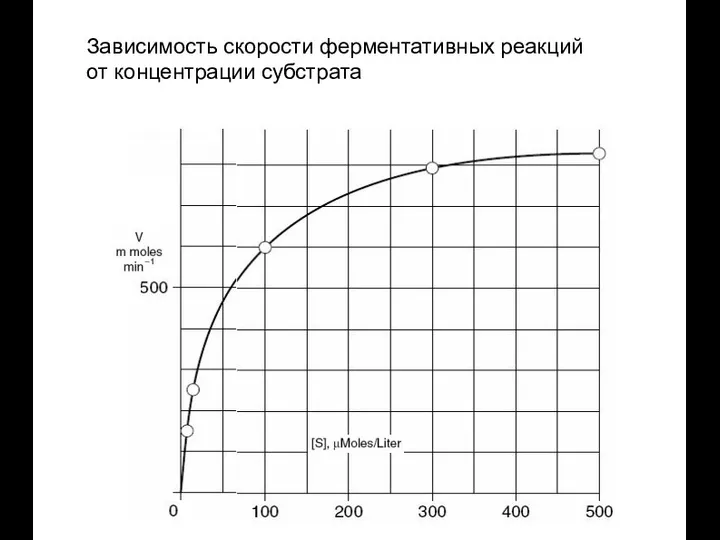 Зависимость скорости ферментативных реакций от концентрации субстрата