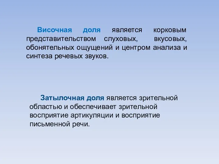 Затылочная доля является зрительной областью и обеспечивает зрительной восприятие артикуляции и