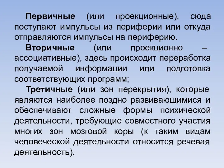 Первичные (или проекционные), сюда поступают импульсы из периферии или откуда отправляются