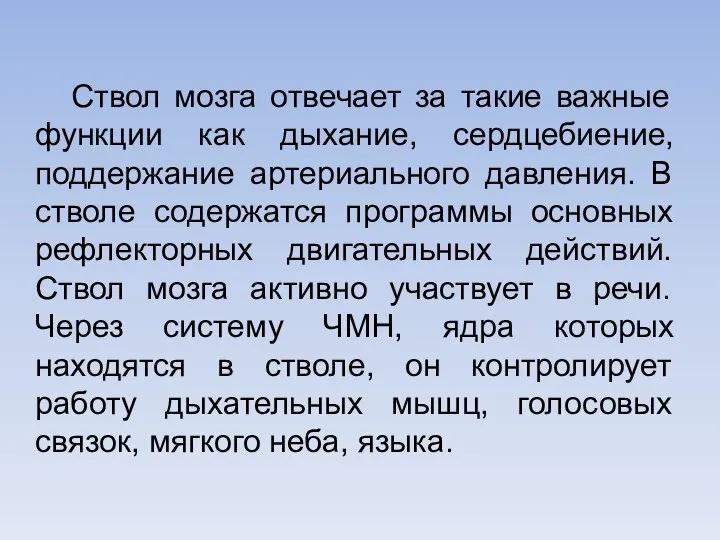 Ствол мозга отвечает за такие важные функции как дыхание, сердцебиение, поддержание