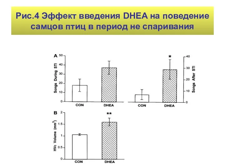 Рис.4 Эффект введения DHEA на поведение самцов птиц в период не спаривания