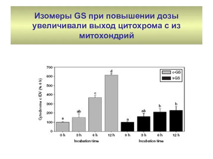 Изомеры GS при повышении дозы увеличивали выход цитохрома с из митохондрий